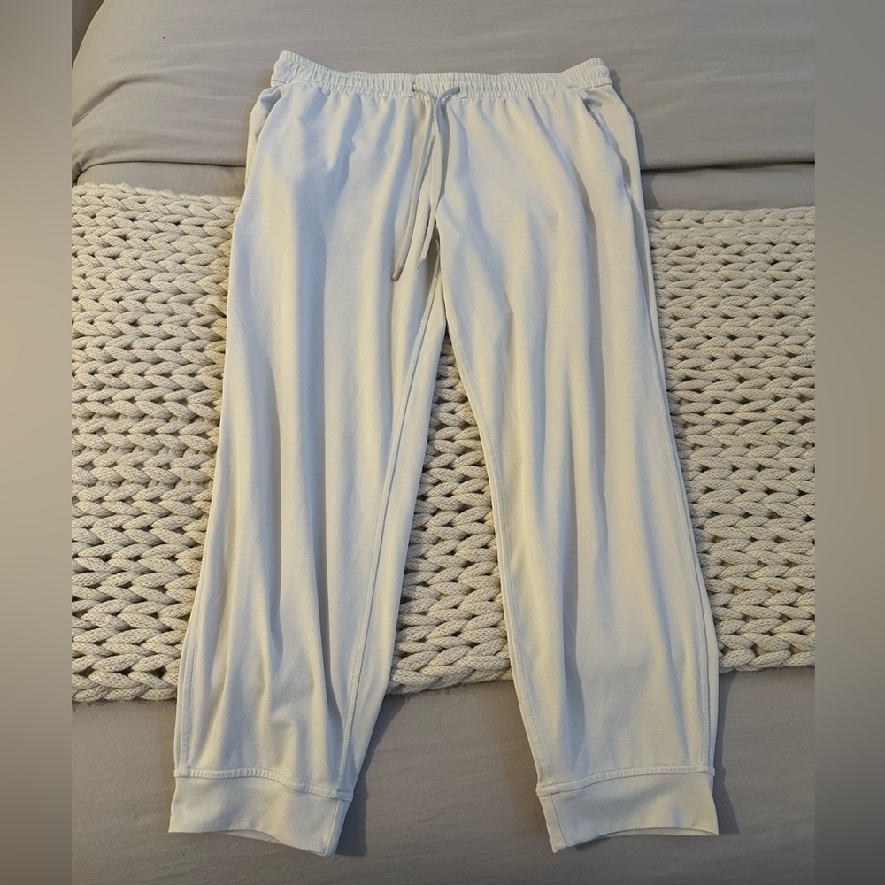 lululemon softstreme brushed joggers (2023 version)